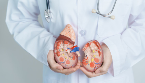 Best kidney transplant hospital in bangalore